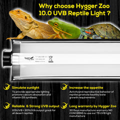 Hygger Zoo T5 Kit reflector inside highlights strong UVB output for basking health.