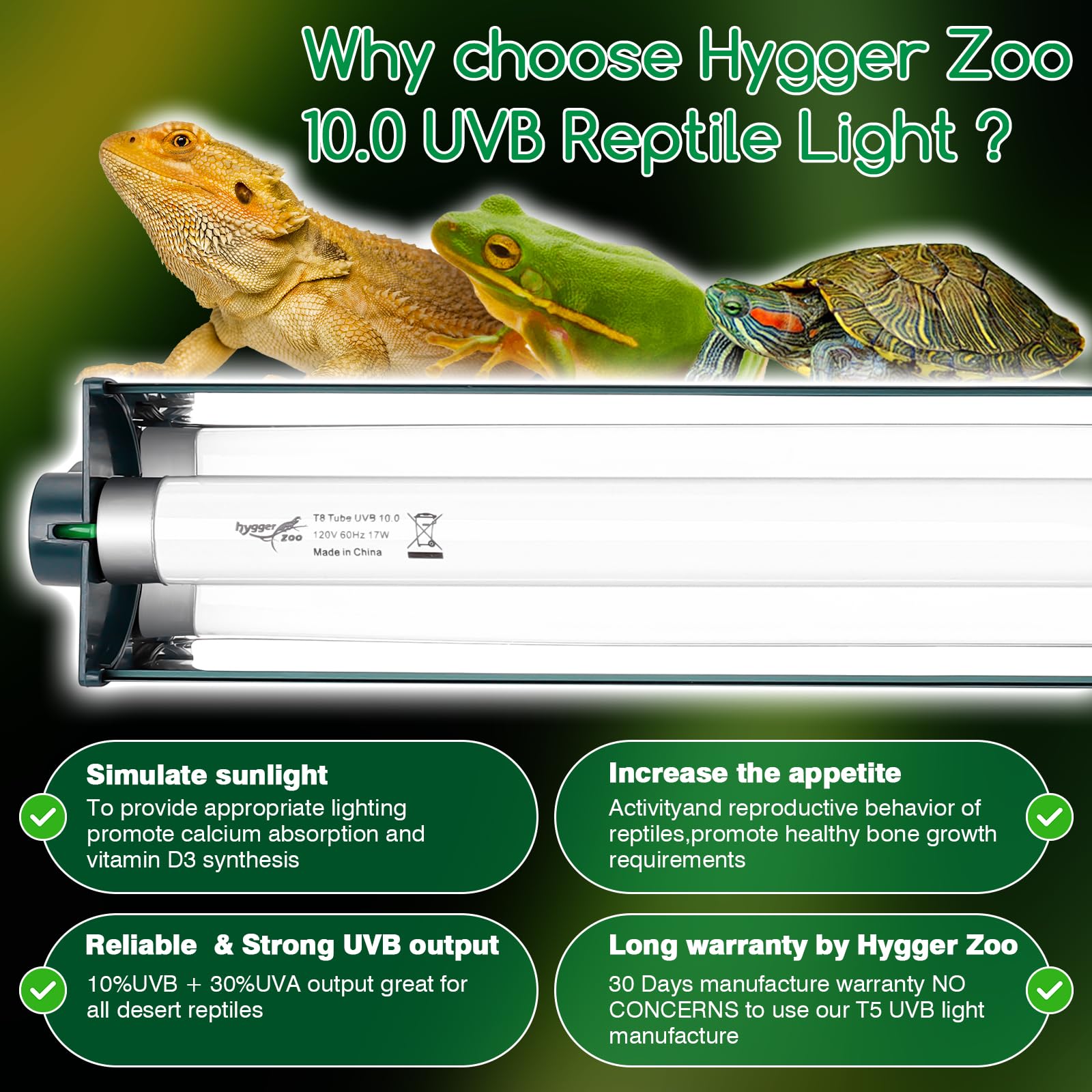 Hygger Zoo T8 fixture mounted inside terrarium for stable lighting.