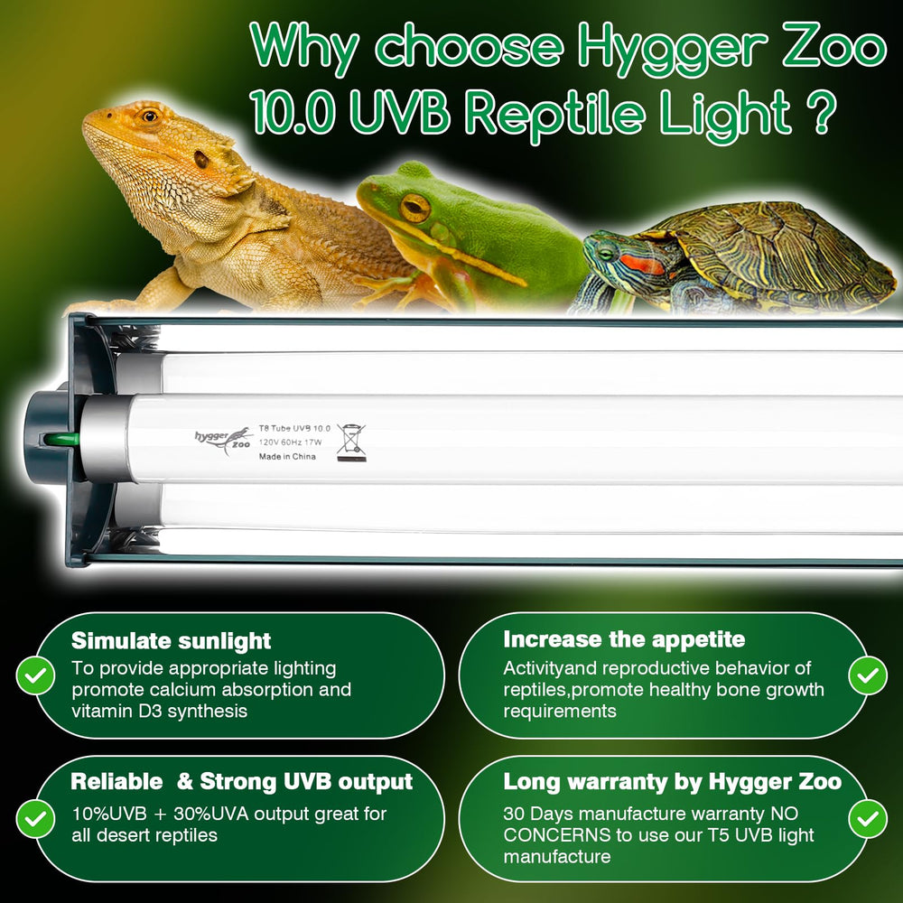 Hygger Zoo T8 fixture mounted inside terrarium for stable lighting.