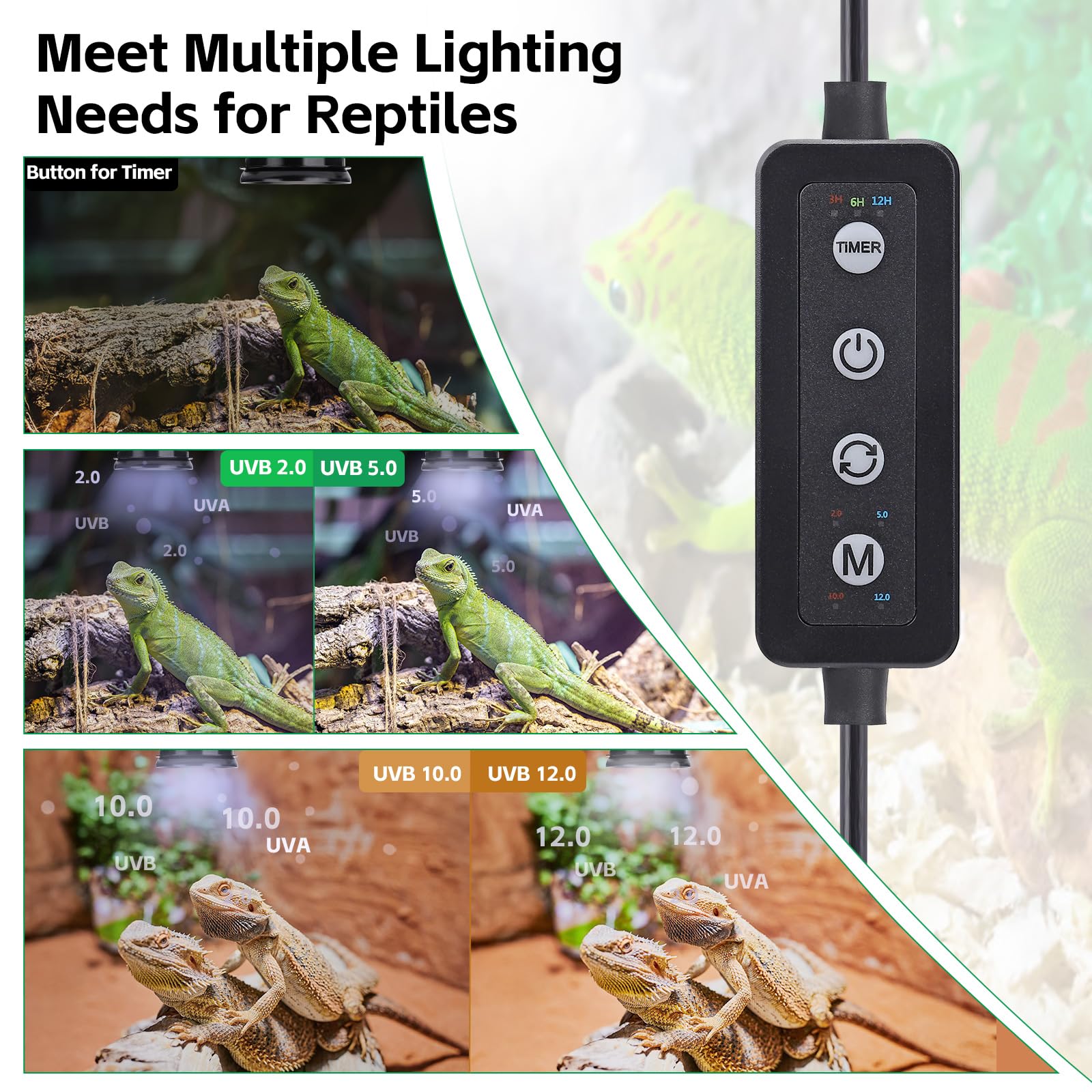 Hygger zoo tank ambient lighting creates natural day-night cues for reptiles.