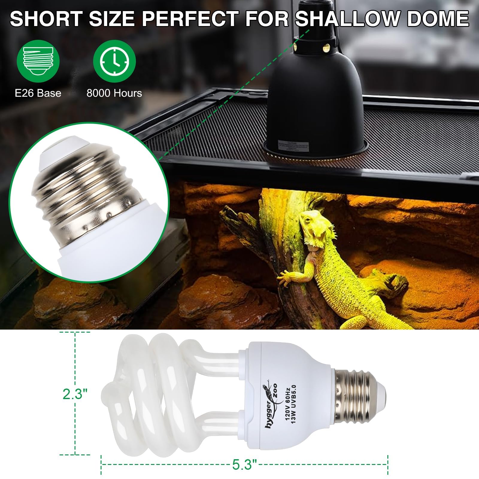 Hygger Zoo UVB bulb in reptile tank setup for rainforest species.