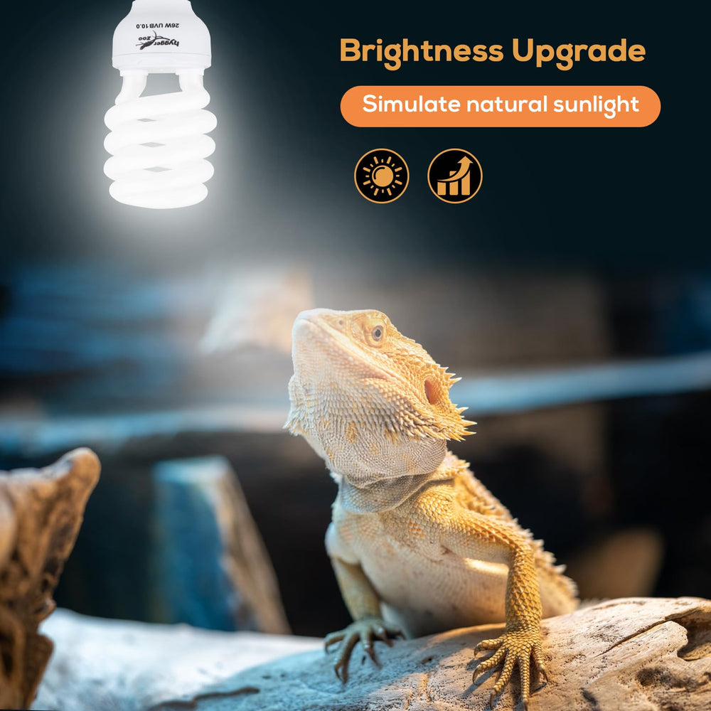 Hygger zoo UVB bulb terrarium-setup provides bright, sun-like light for basking.