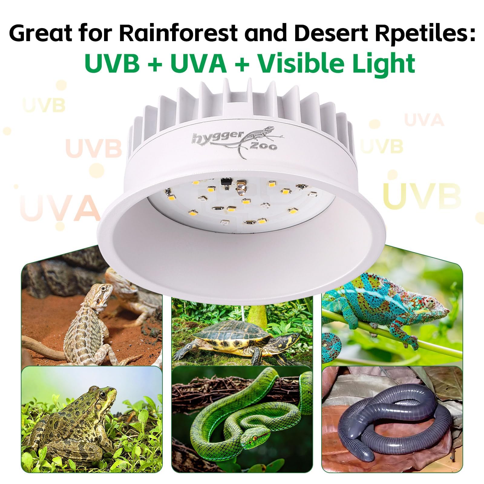 Hygger zoo UVB light in bearded dragon setup highlighting active daytime basking behavior.
