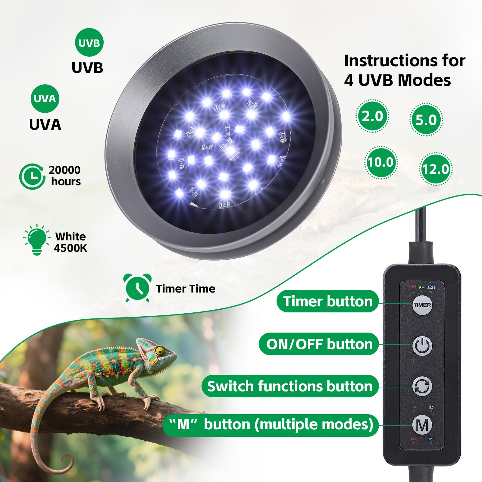 Hygger zoo UVB light on bearded dragon setup shows UV exposure for healthy activity.