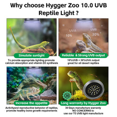 Hygger zoo UVB light desert mode ready for arid terrarium environments.