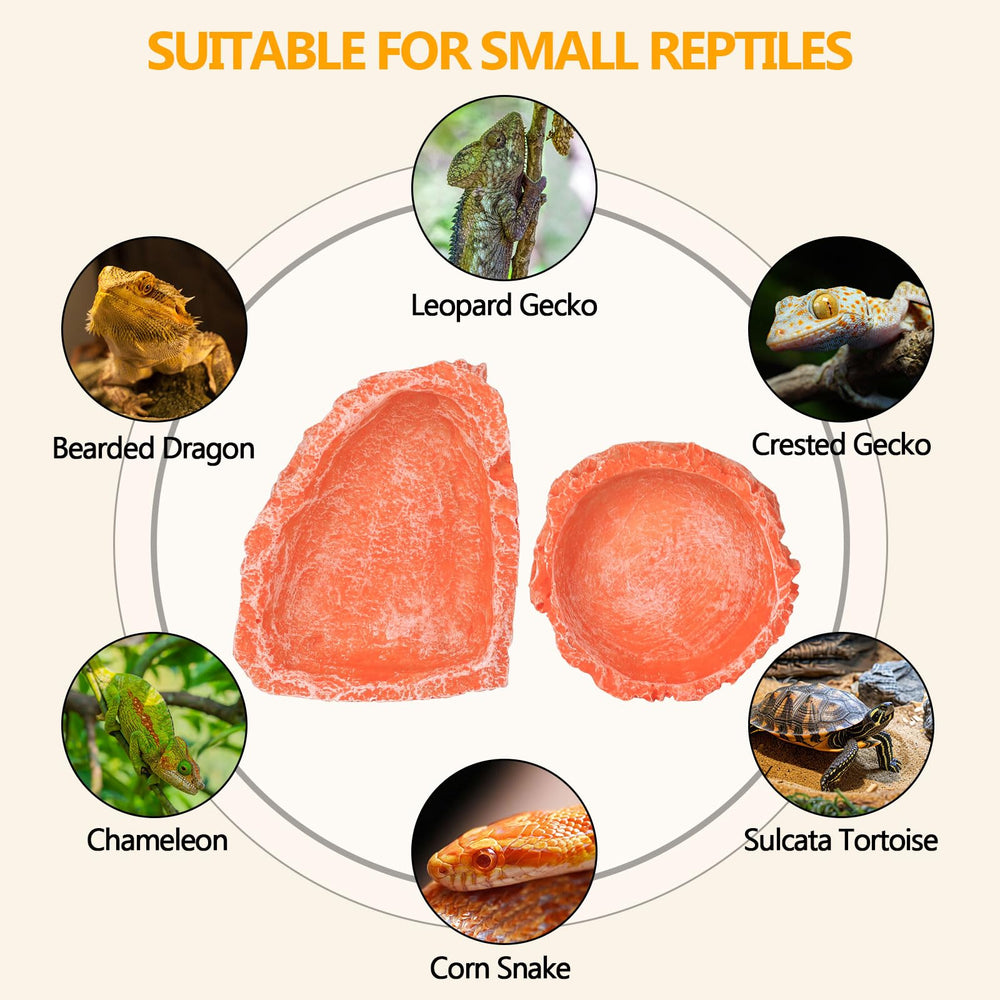 Hyggerzoo bearded-dragon tank bowl orange aids calm feeding in compact enclosures