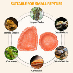 Hyggerzoo bearded-dragon tank bowl orange aids calm feeding in compact enclosures