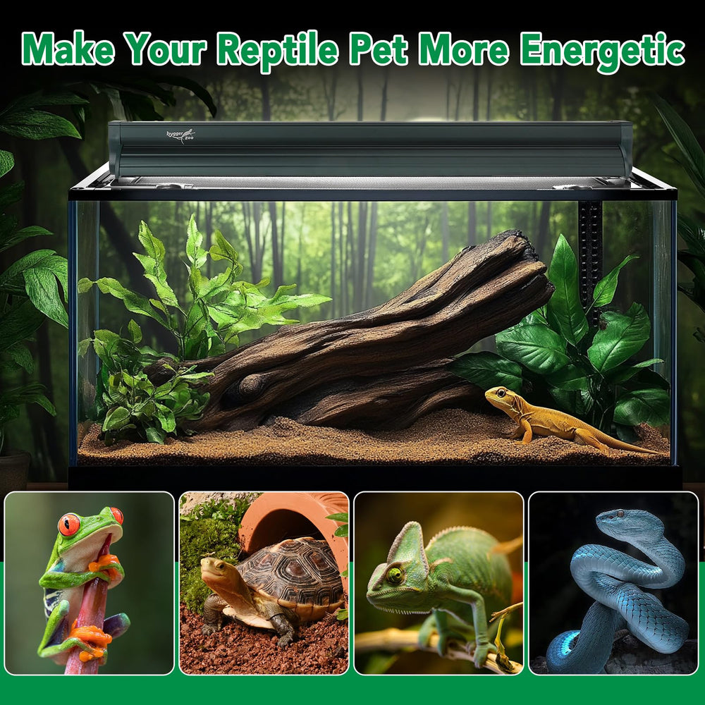 Hygger Zoo T5 kit in tropical and desert reptile setups for bearded dragons