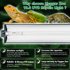Hygger Zoo T5 Reptile Light Fixture with reflective layer boosting UV output
