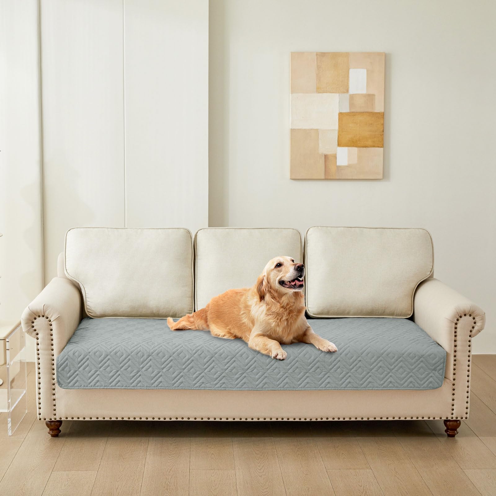 Hyha dog blanket multi-use setup illustrates protection on sofa, bed, car.