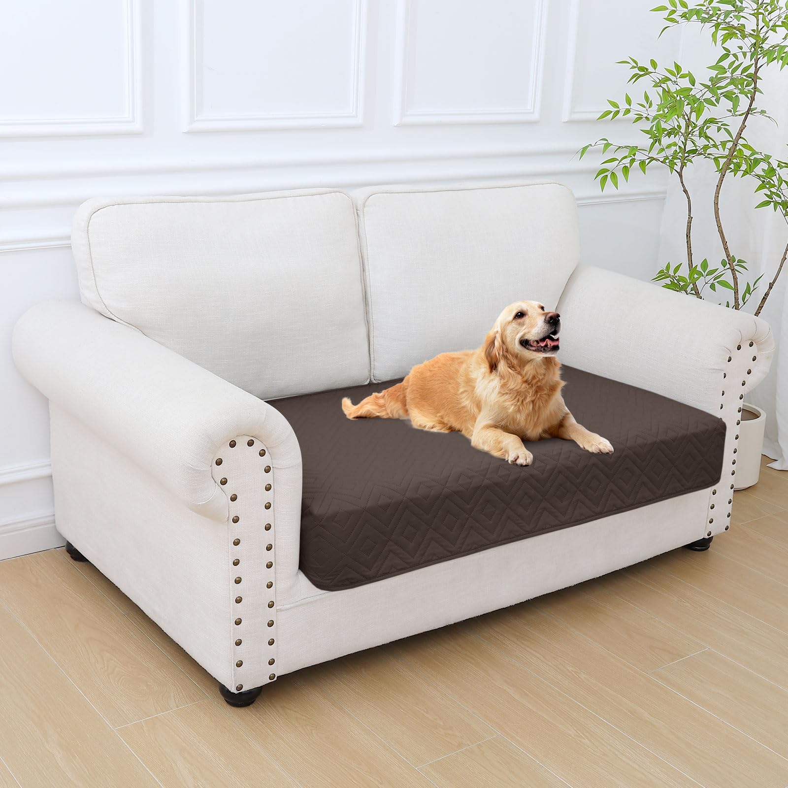 hyha 30x53 inch size ensures ample coverage