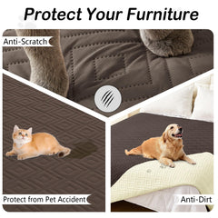 hyha reversible color blanket on couch highlights two-tone design for style and versatility