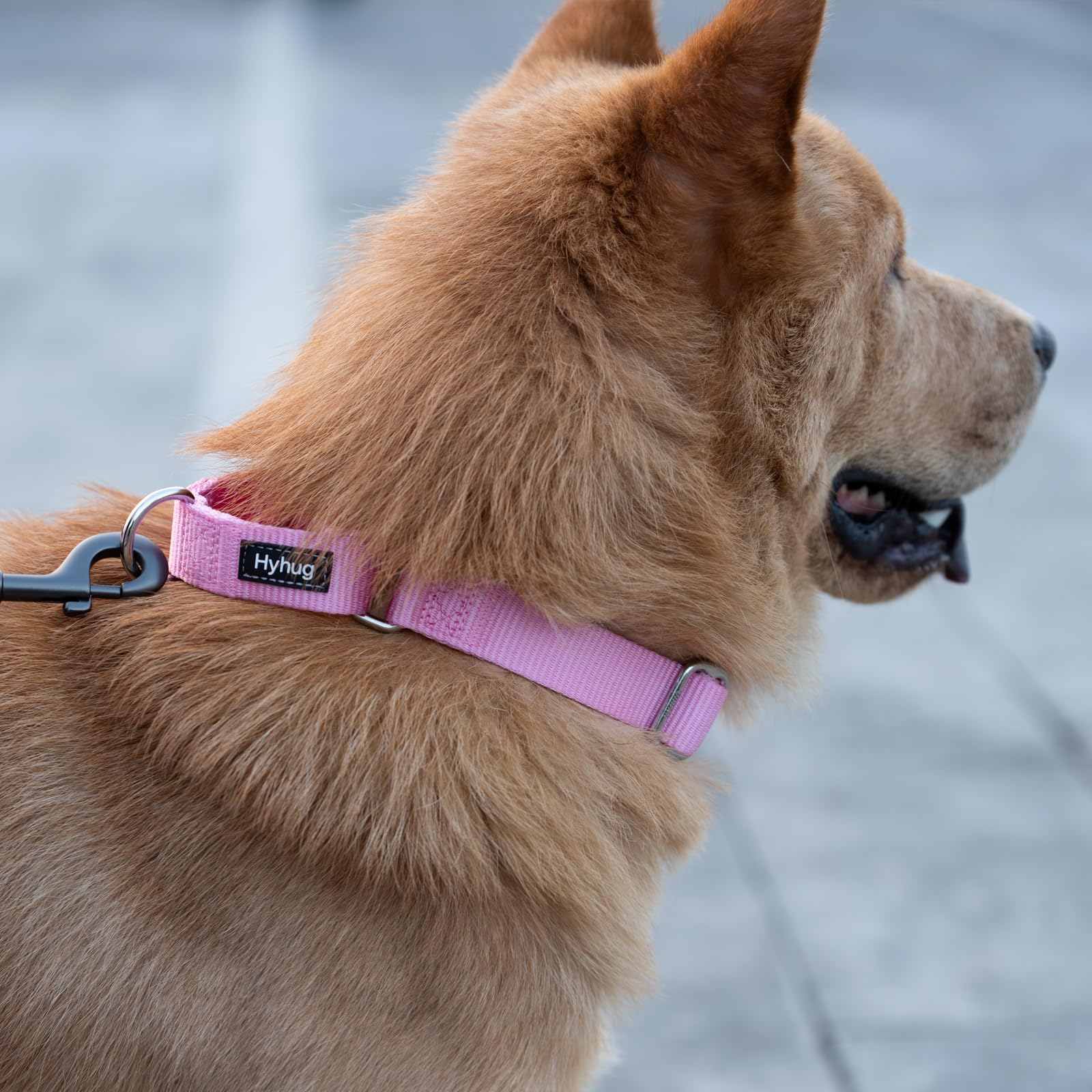 Hyhug martingale collar XL pink adjustable strap ensures a precise fit