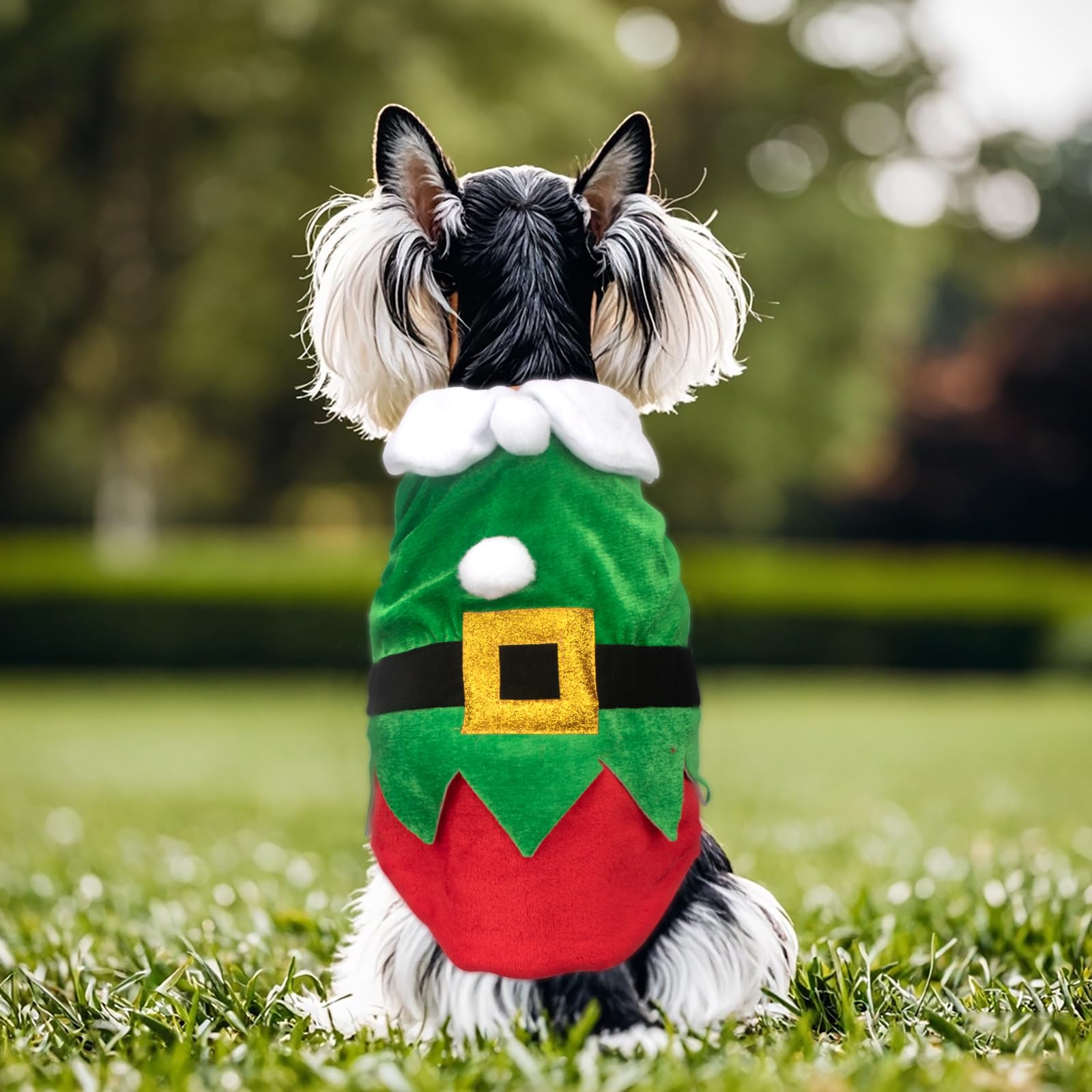 Hying dog-cat Santa pajama costume highlights holiday charm for photos.