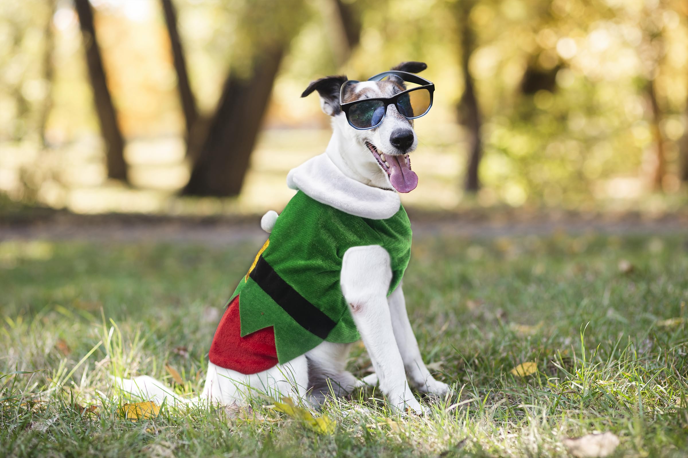 Hying pet winter coat Christmas keeps small pets warm during events.