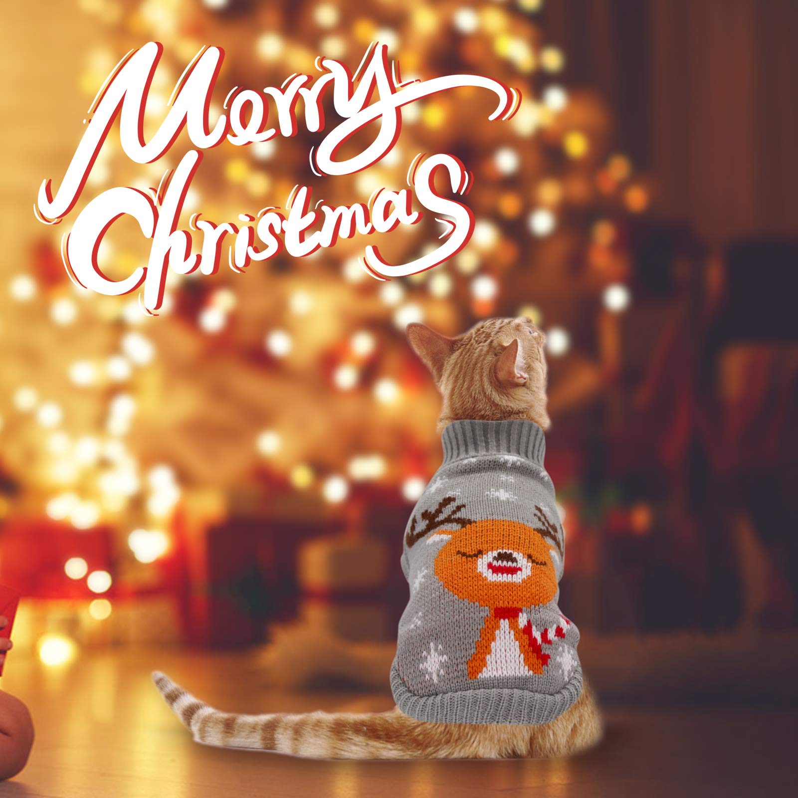 HYLYUN Cat Christmas Sweater Easy Slip-On Pack6 for quick dressing