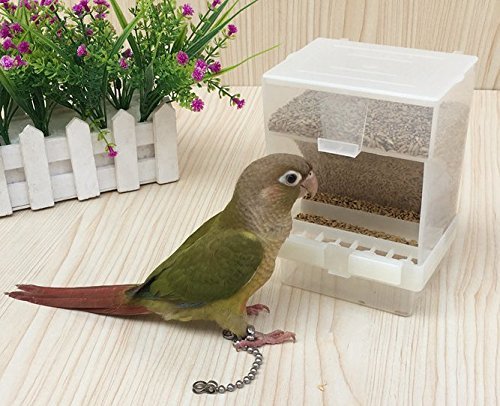 Hypeety Automatic Bird Feeder easy-clean design supports quick maintenance.