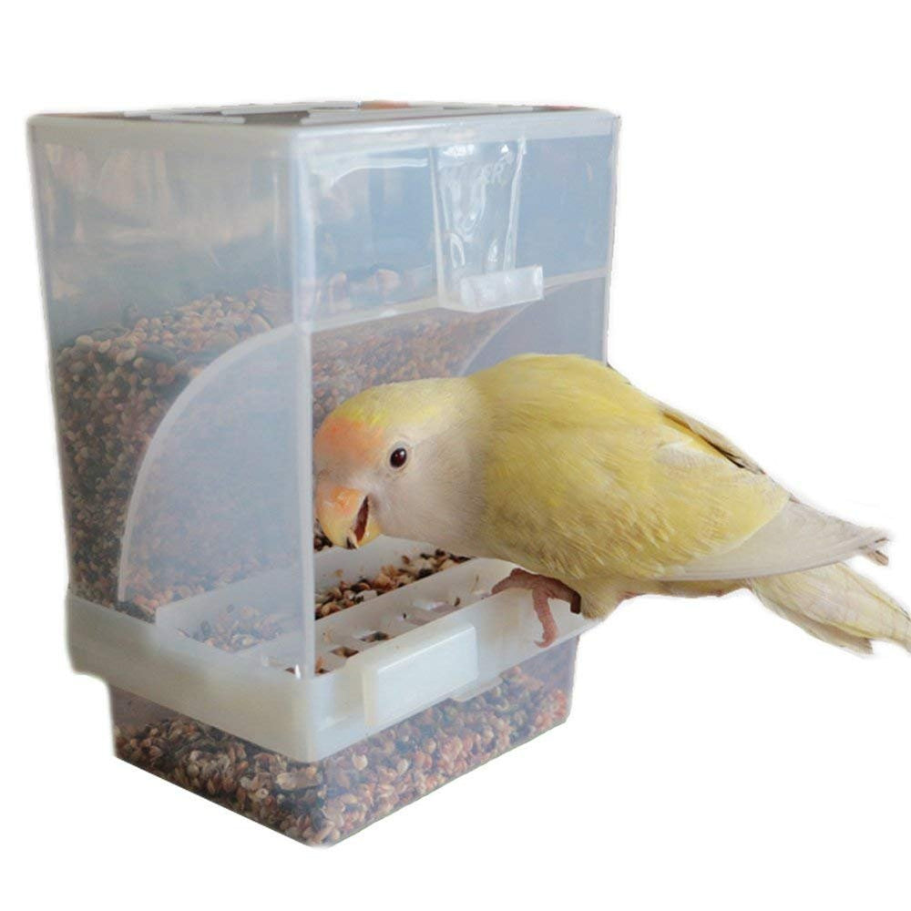 Hypeety Automatic Bird Feeder with lid open for easy refills and quick access.
