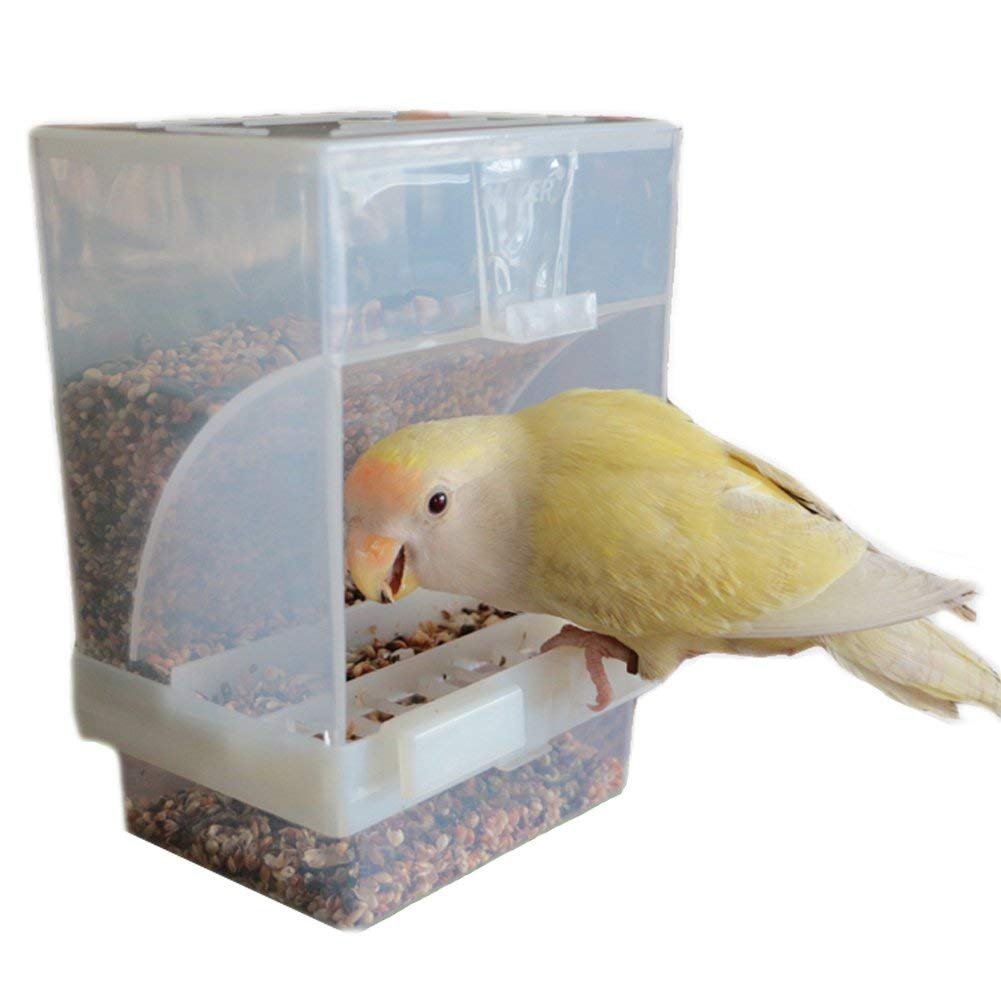 Hypeety Automatic Bird Feeder with lid open for easy refills and quick access.