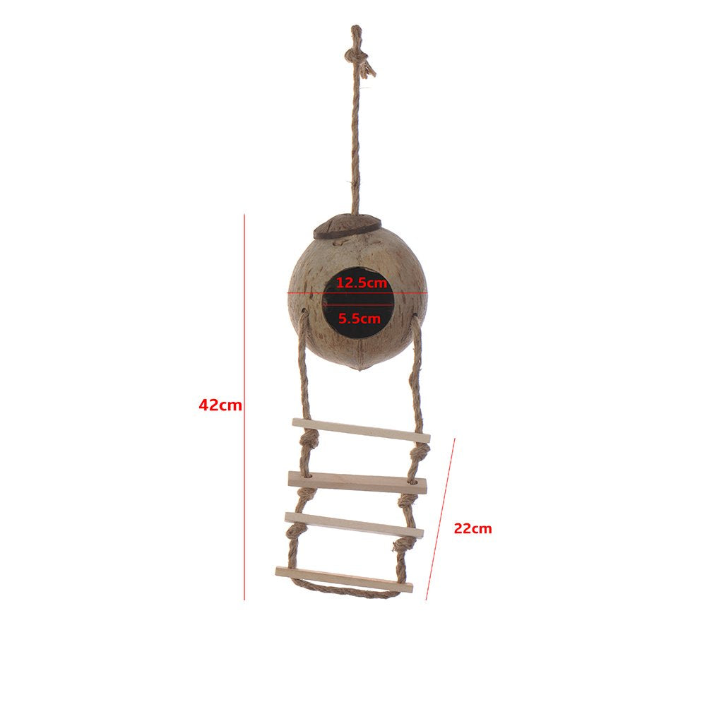 Hypeety bird ladder rope detail highlighting foot exercise potential.