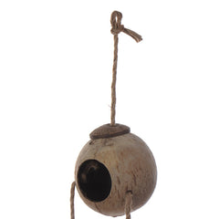 Hypeety coconut fibers texture supports beak exploration and play.