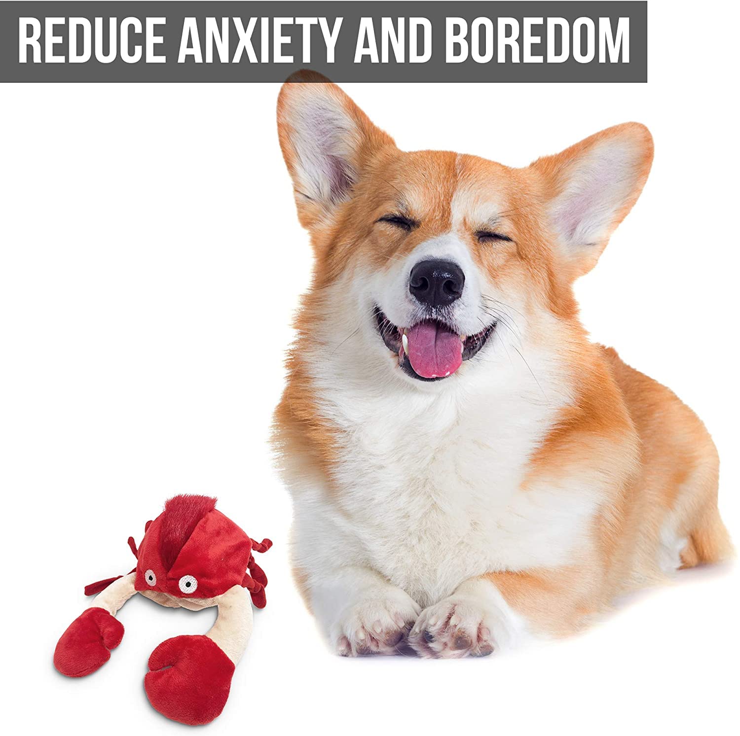 Hyper Pet Doggie Pal in action with wobble keeps dogs busy.