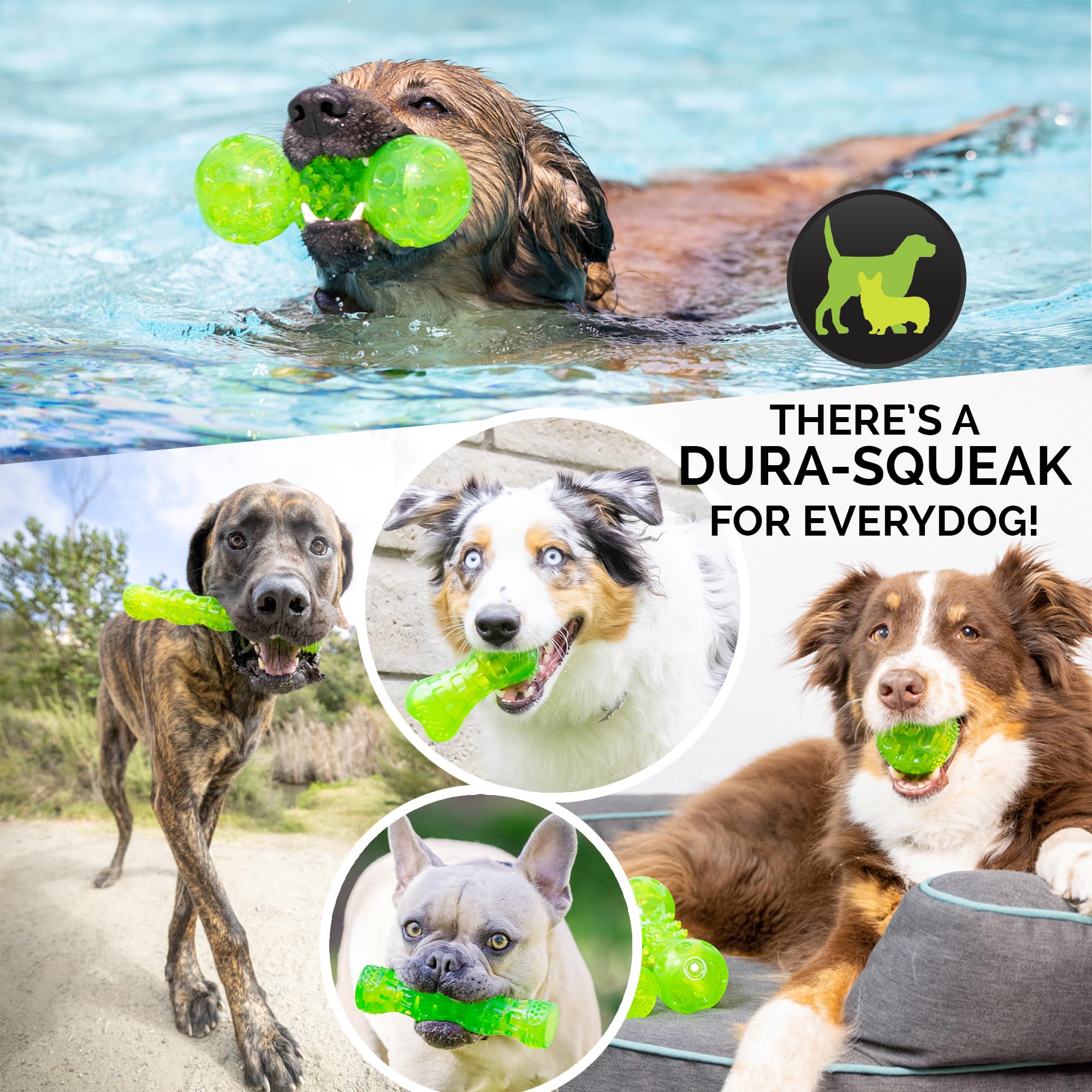 Hyper Pet Dura-Squeaks stick toy bounce closeup depicts unpredictable play.