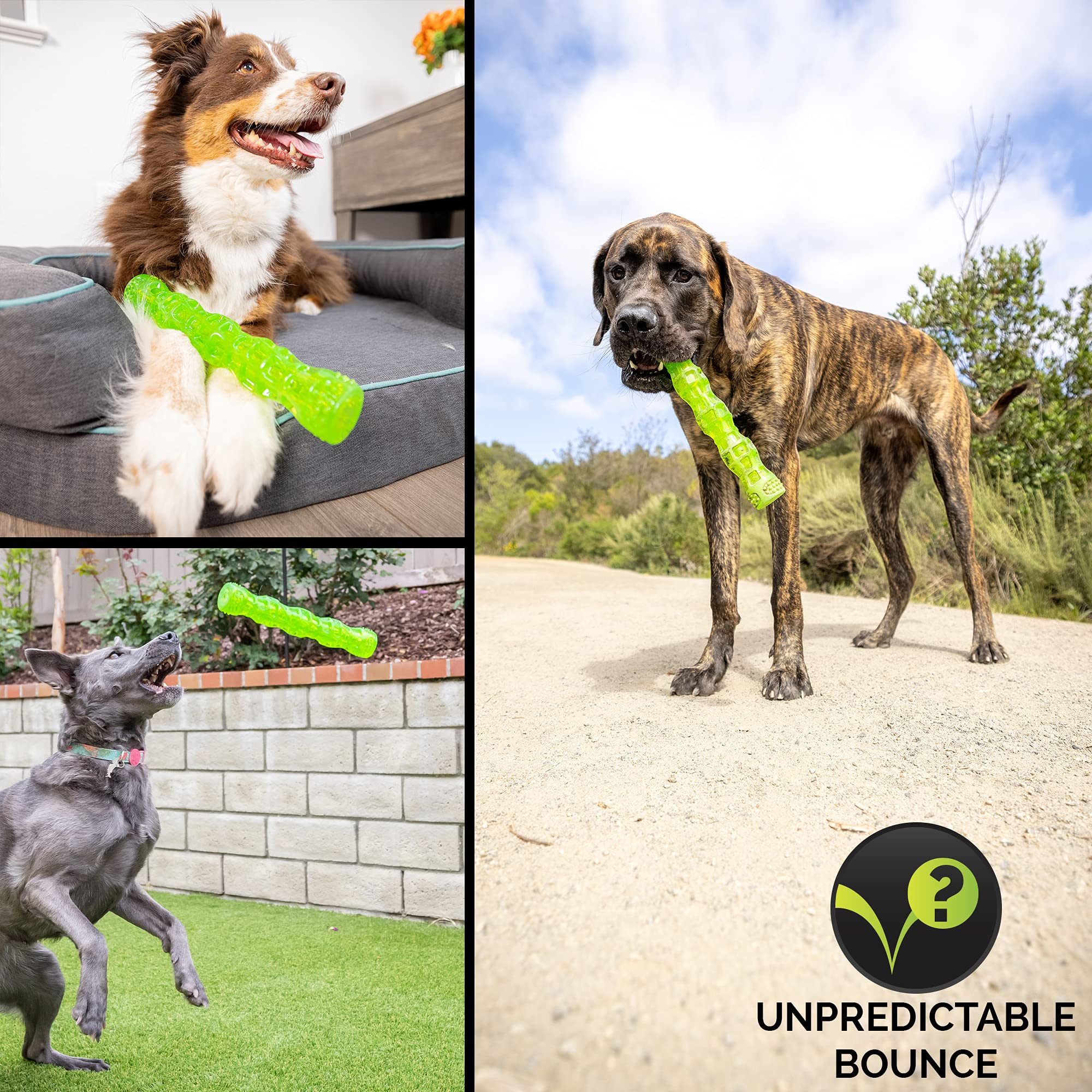 Hyper Pet Dura-Squeaks stick toy durable TPR construction for lasting fun.
