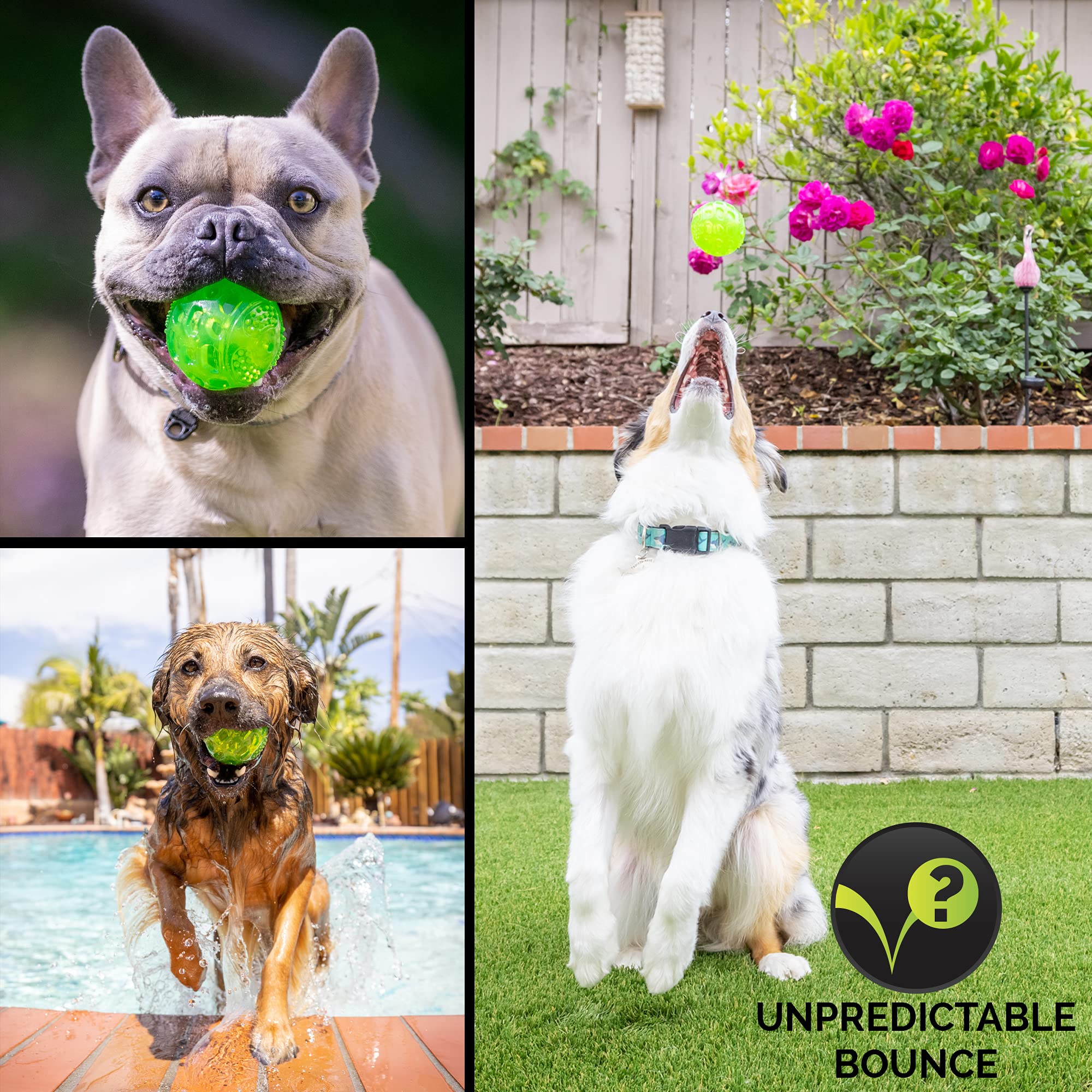 Hyper Pet DuraSqueak ball green squeaky toy for puppies and adults.