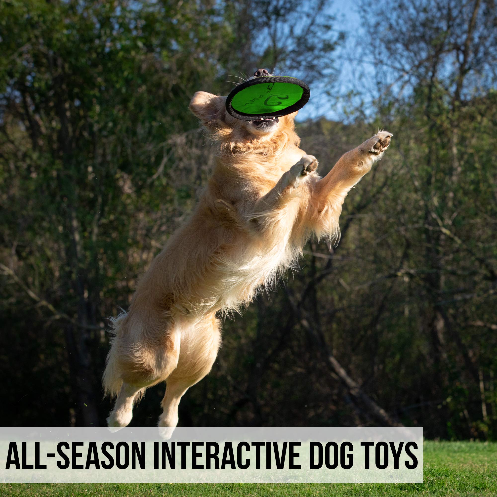 Hyper Pet Flippy Flopper ideal for beach and lake adventures with pets.