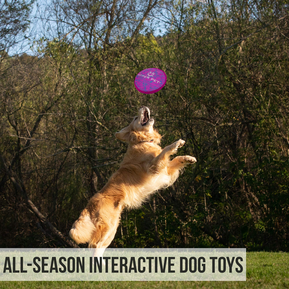 Hyper Pet Flippy Flopper bright neon swirl boosts visibility in outdoor light.
