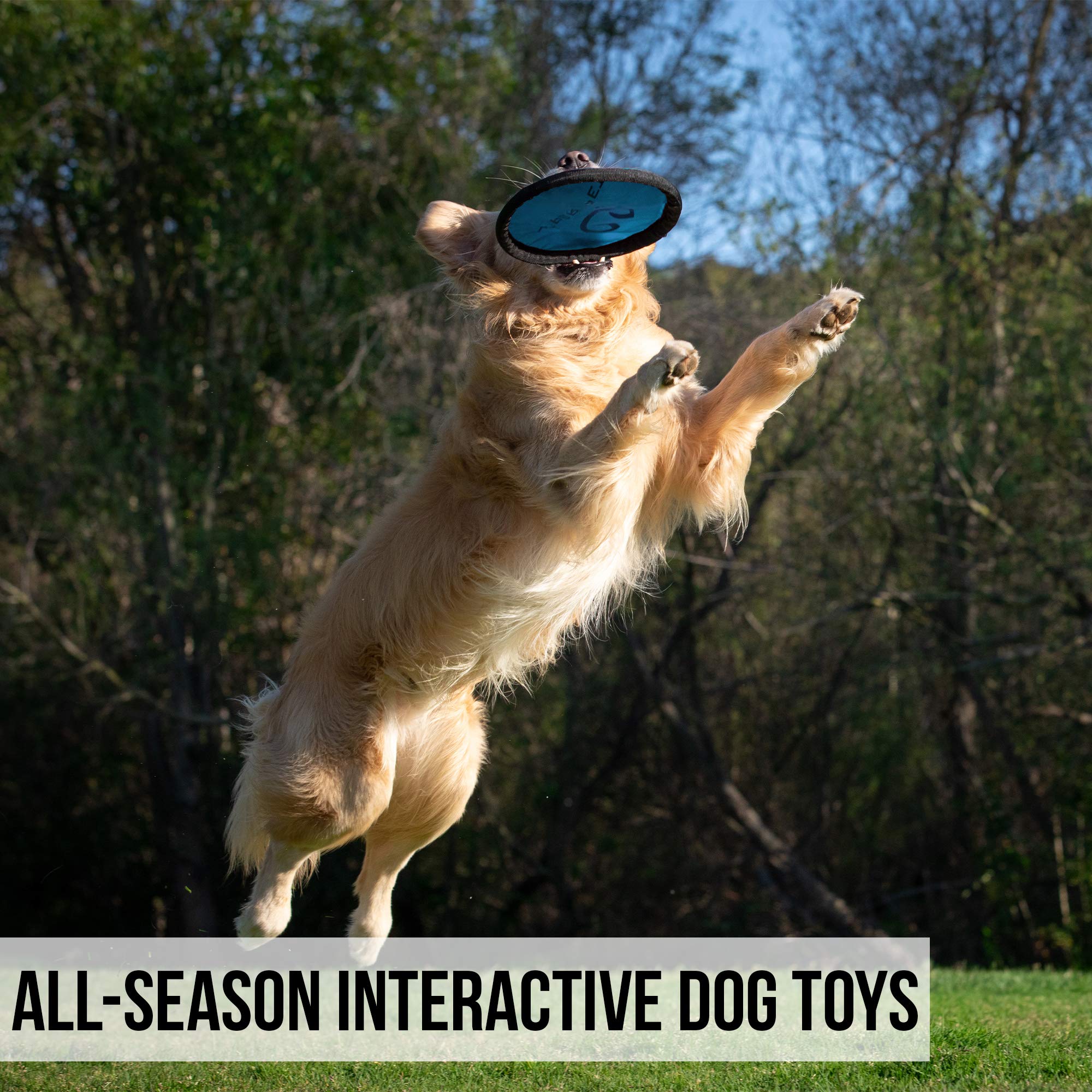 Hyper Pet Flippy Flopper colors may vary per pack for colorful backyard fun.