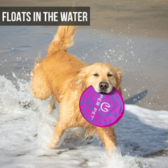 Hyper Pet Flippy Flopper disc in flight during a game of fetch.