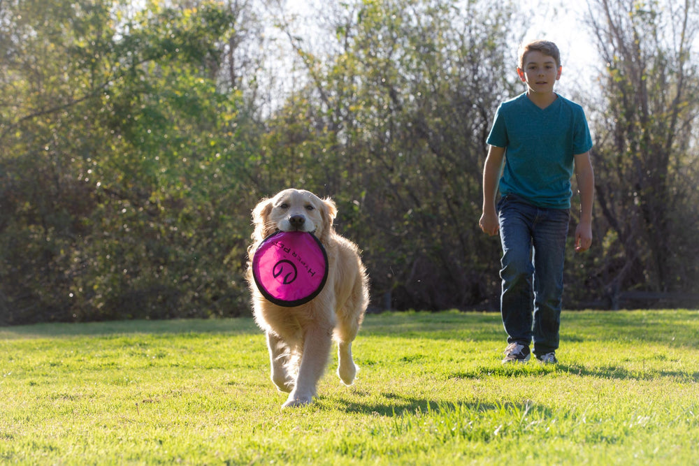 Hyper Pet Flippy Flopper disc nine-inch—sized for all breeds and versatile use.
