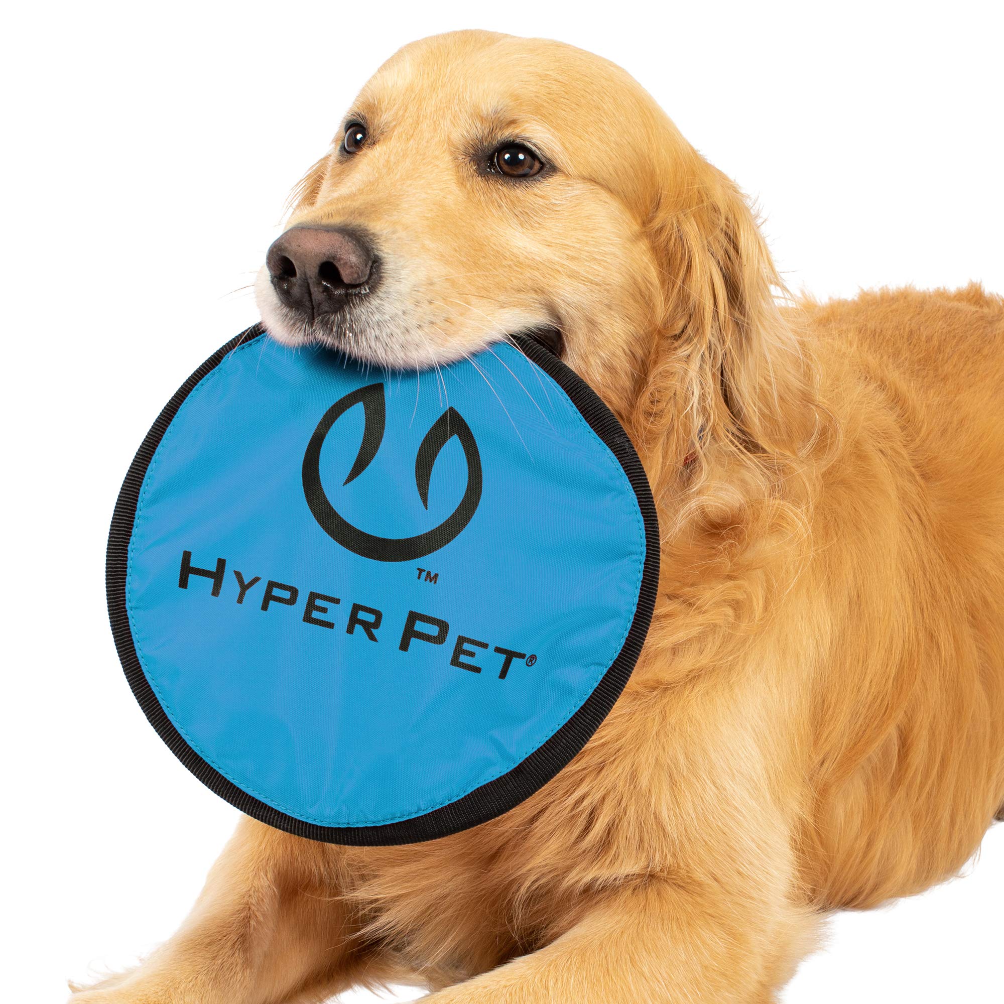 Hyper Pet Flippy Flopper pink disc mid-throw—ideal for water play and long throws.