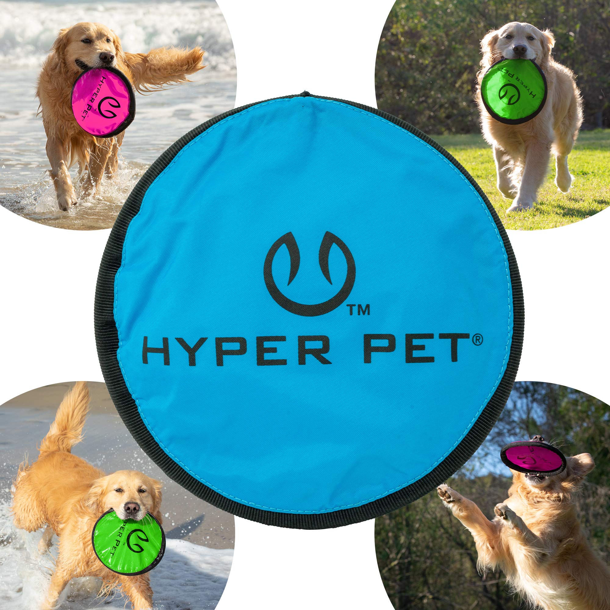 Hyper Pet Flippy Flopper floats on water for buoyant pool or lake play.