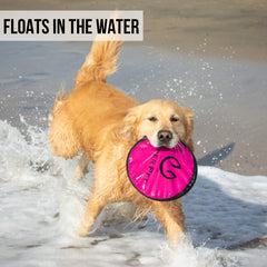 Hyper Pet Flippy Flopper floats on water during beach or pool fetch.