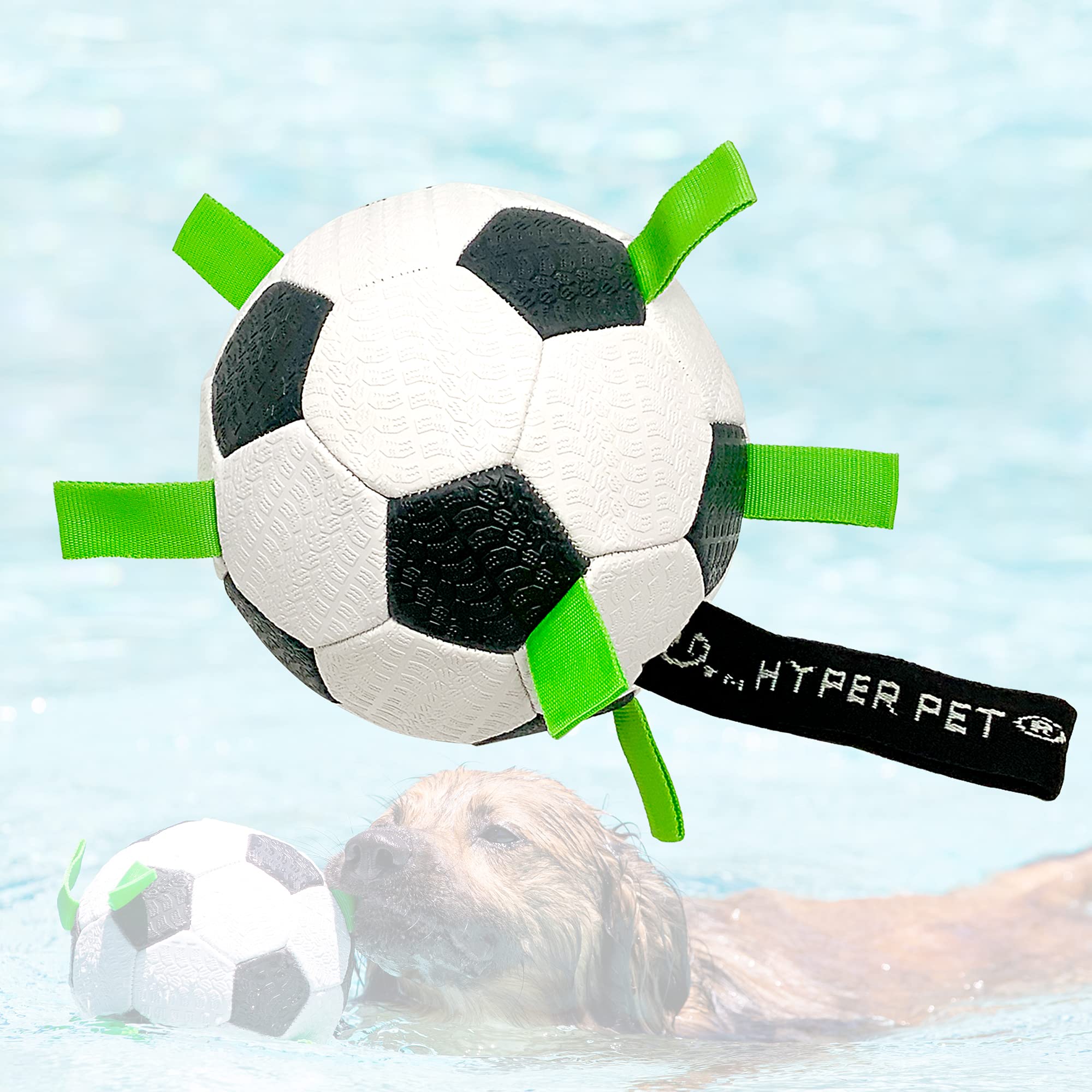 Hyper Pet Grab Tabs Ball outdoors with dog exploring active play