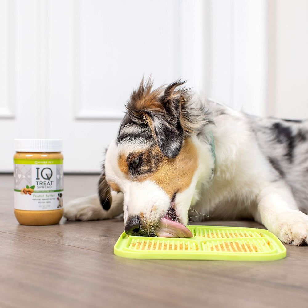 Hyper Pet IQ Treat Lick Mat boredom-buster in action supports enrichment during stressful routines.