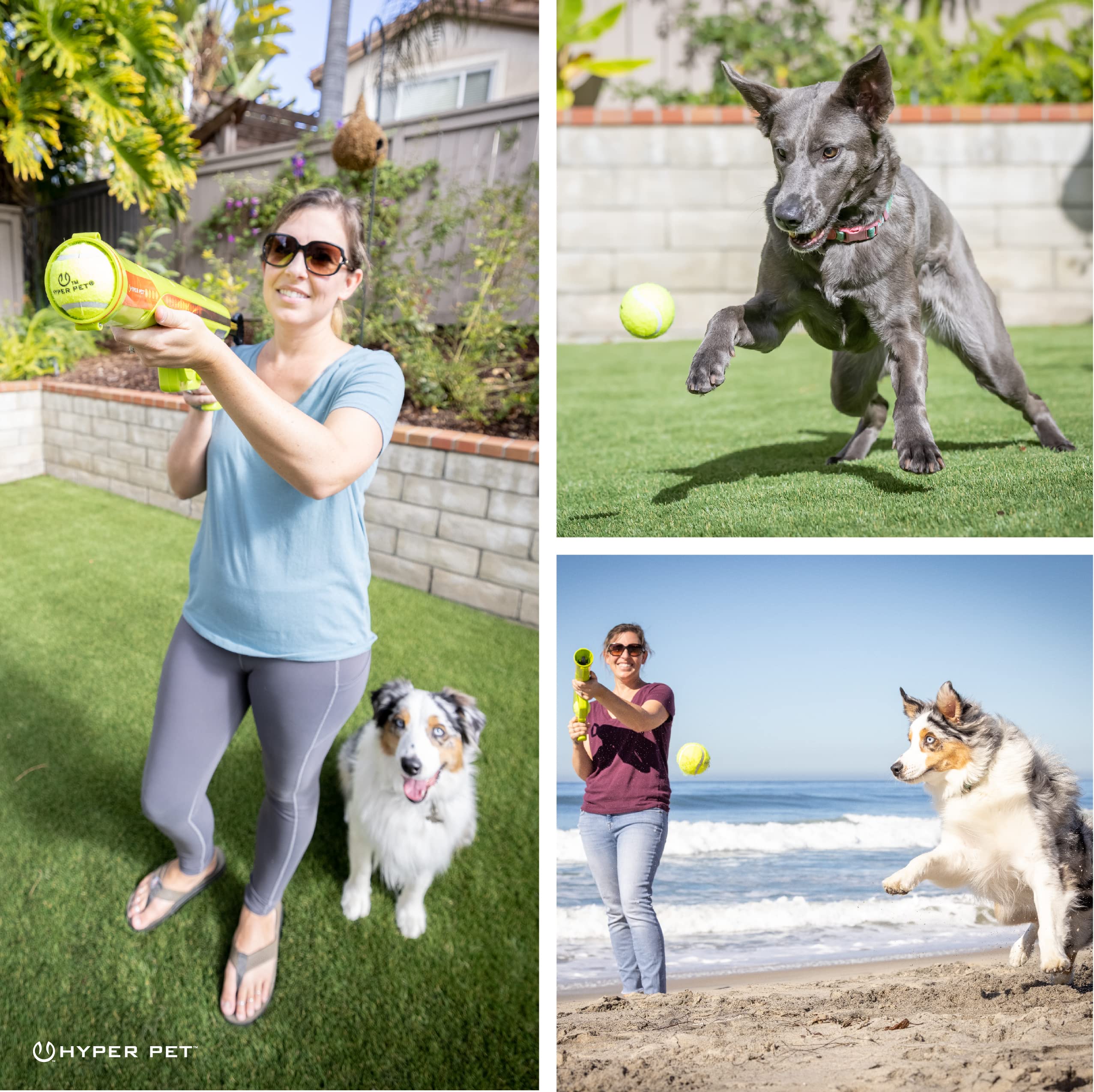 Hyper Pet K9 Kannon dog fun in yard demonstrates versatile play sessions.