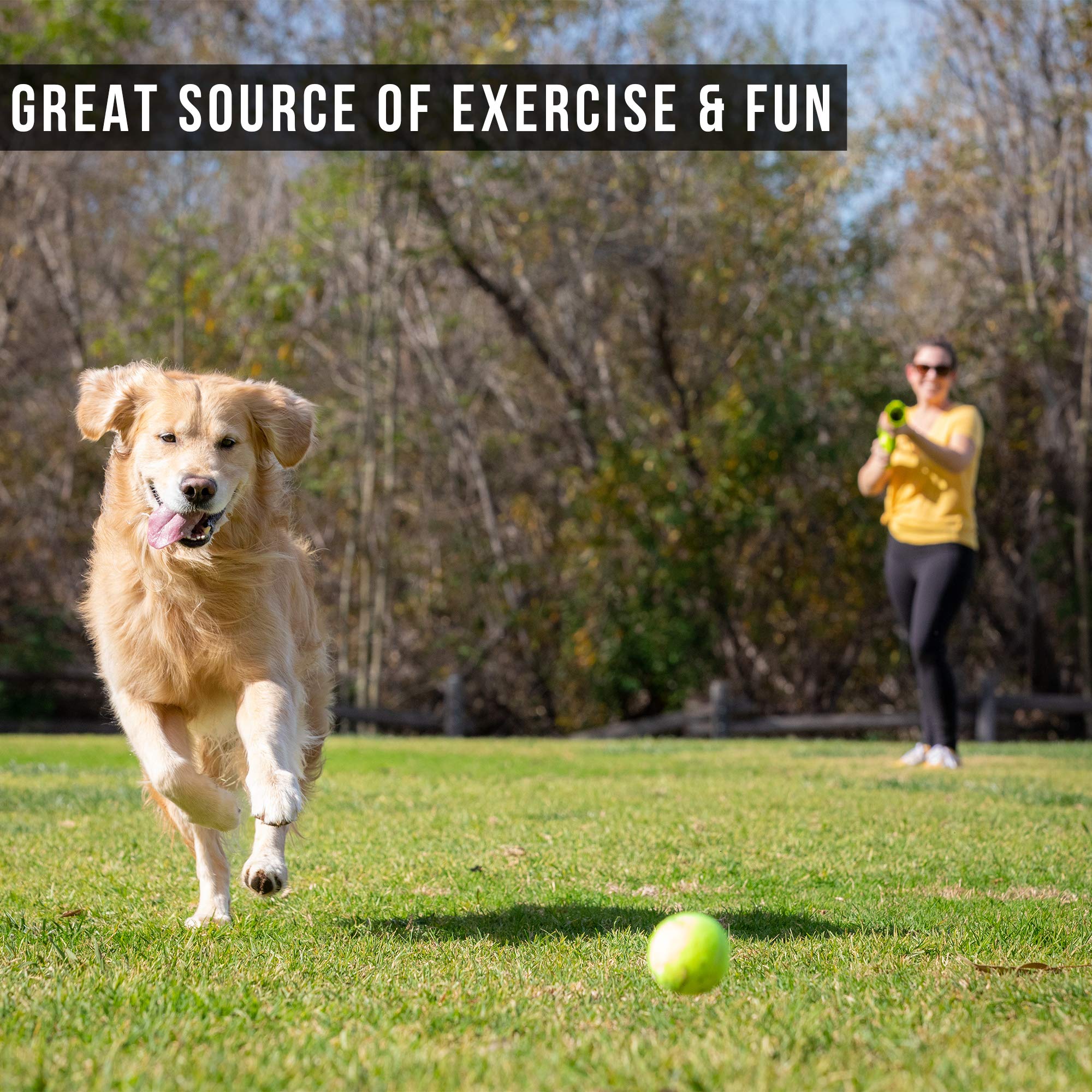 Hyper Pet K9 Kannon in-use closeup emphasizes durable build and easy loading.