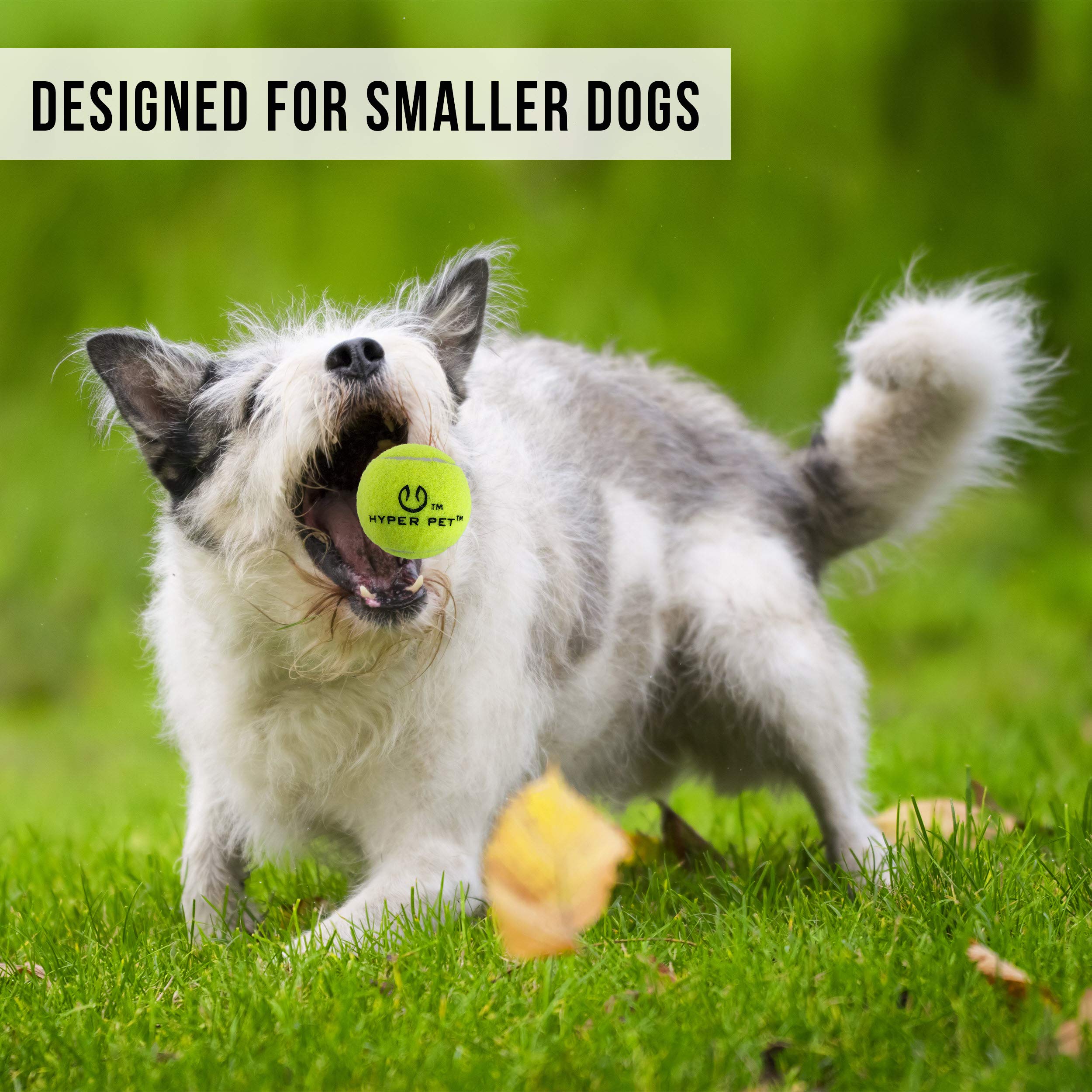 Hyper Pet Mini K9 Kannon compact design fits small spaces for quick sessions.
