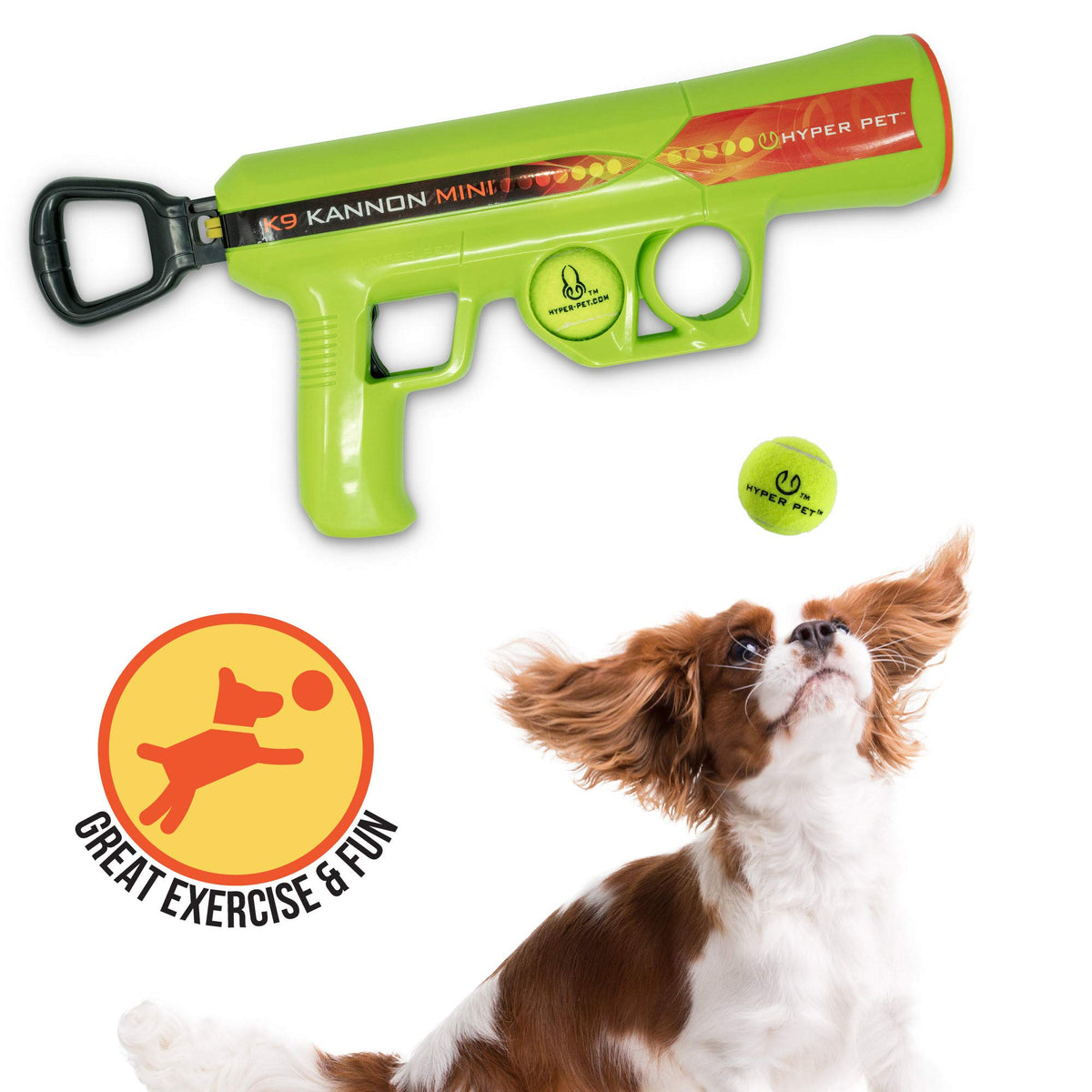 Hyper Pet Mini K9 Kannon in use with a small dog for fast fetch fun.