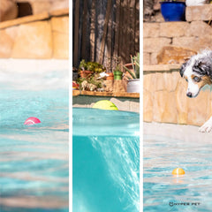 Hyper Pet mini tennis ball non-toxic coating protects small dog teeth.