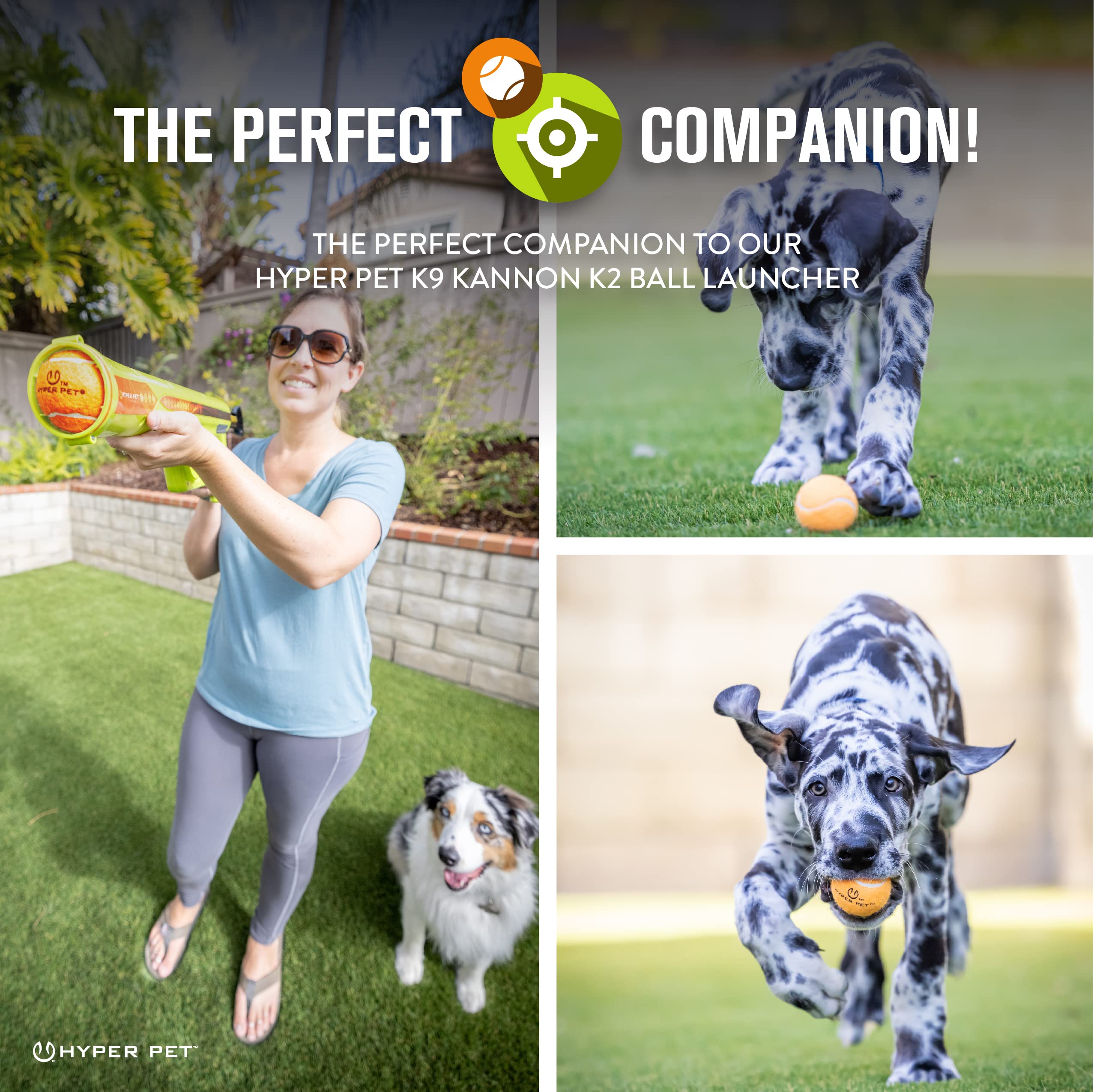 Hyper Pet MINI tennis balls floating for water fetch and splashy play.