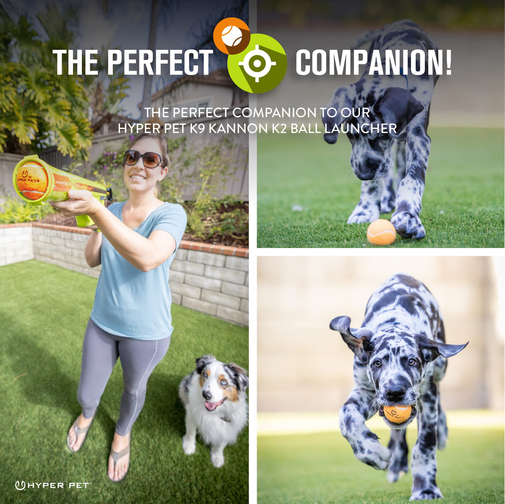 Hyper Pet MINI tennis balls floating for water fetch and splashy play.