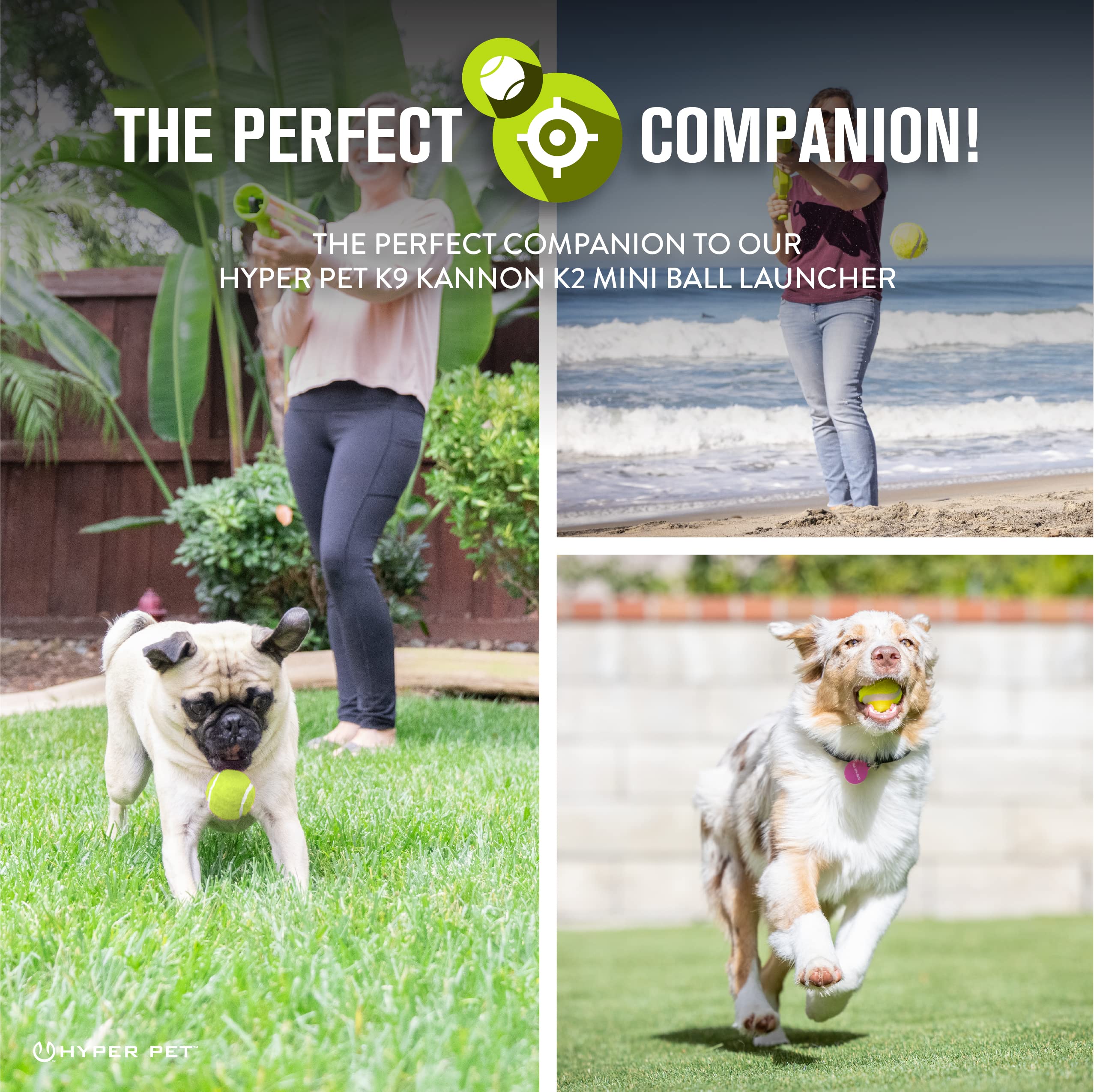 Hyper Pet mini tennis balls safe for small dogs during supervised play.