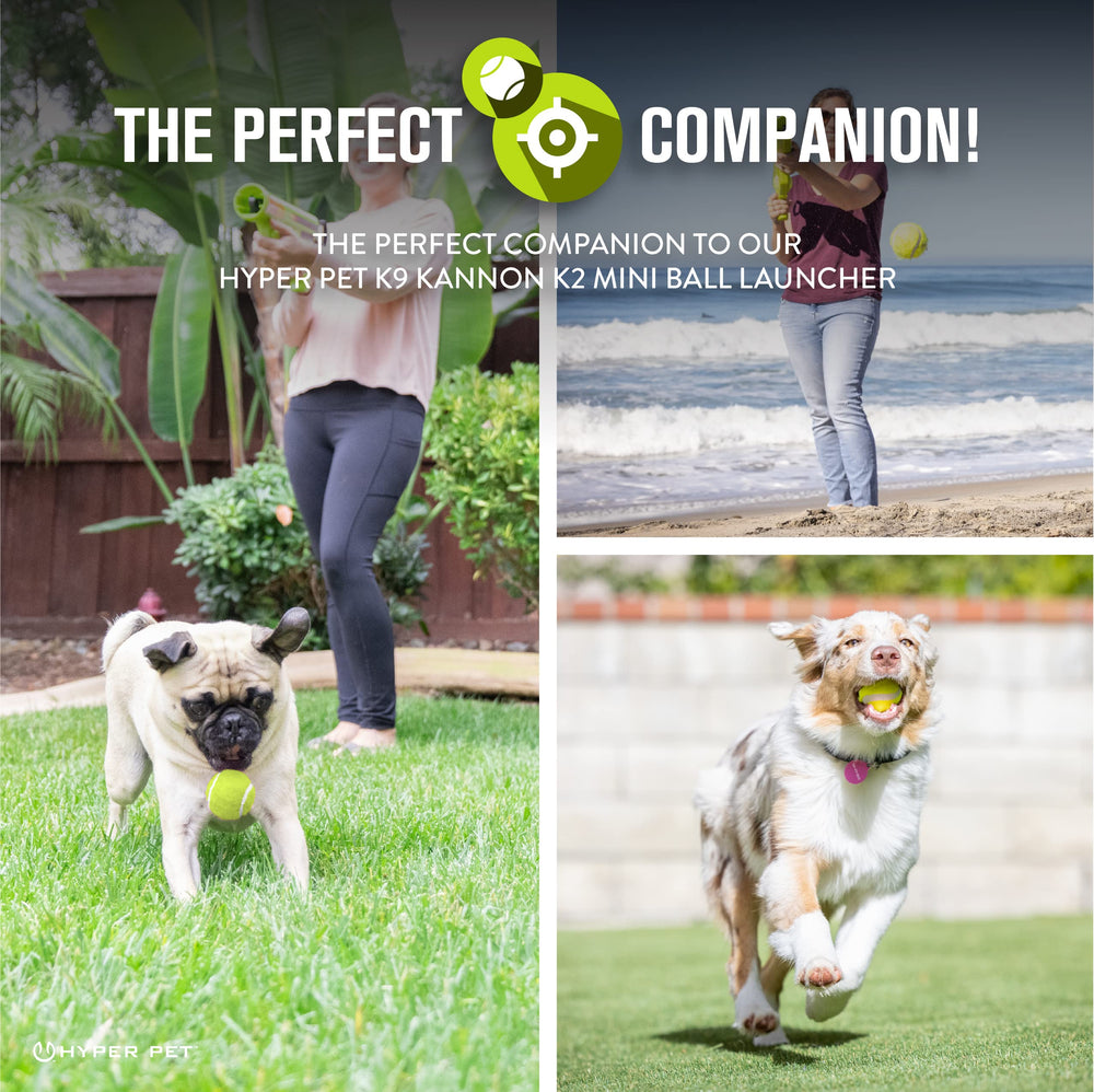 Hyper Pet mini tennis balls safe for small dogs during supervised play.