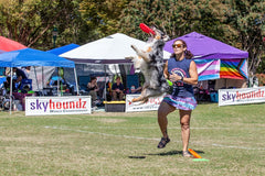 Hyperflite K-10 Jawz Pink Disc in action; ideal for high-energy disc play