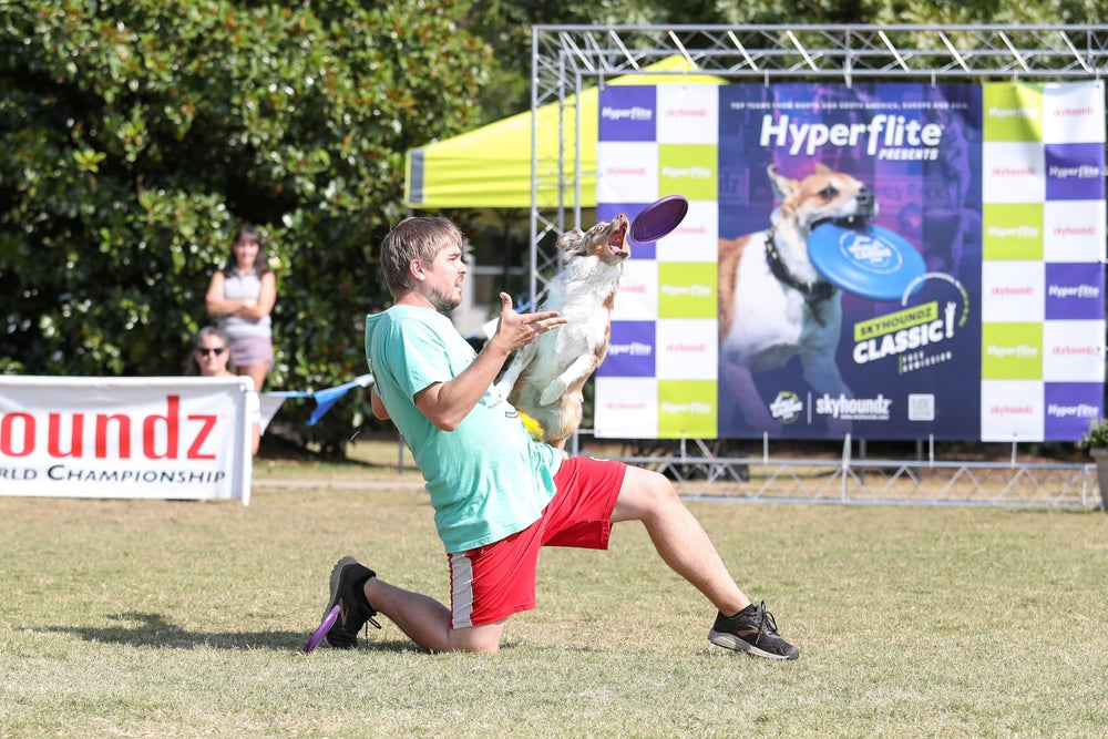 Hyperflite Pup Hyperflex Disc in action for accurate throws and quick turns.